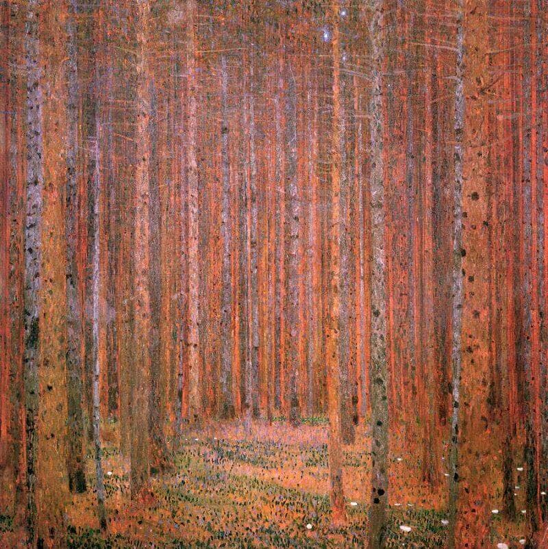 Pine Forest, 1902 by Gustav Klimt