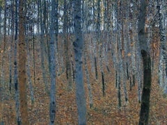 Birch Forest by Gustav Klimt