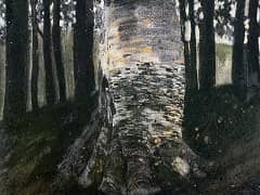 Birch in a Forest by Gustav Klimt