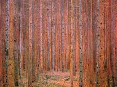 Roses Among the Trees by Gustav Klimt