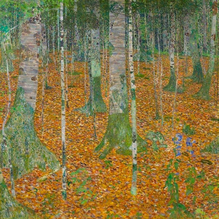 Beech Forest, 1903 by Gustav Klimt