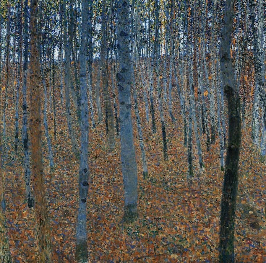 Birch Forest I, 1902 by Gustav Klimt